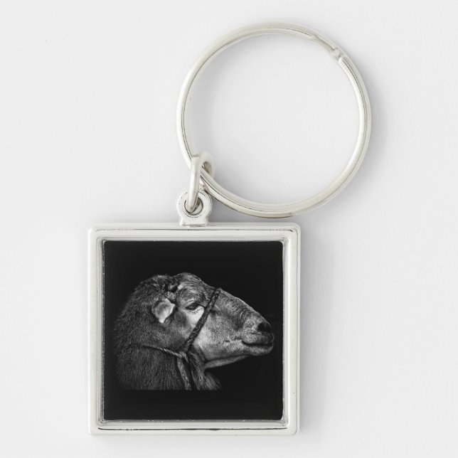 right following key ring (Front)