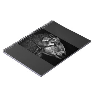 right following notebook