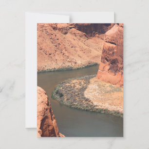 Right Here Postcard