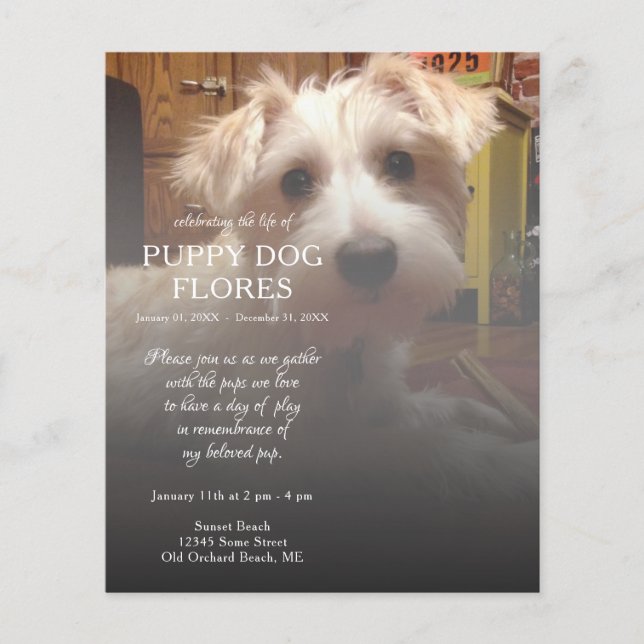 right side photo memorial (Front)