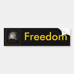 Right To Freedom Bumper Sticker