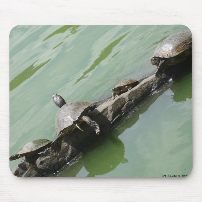 Right Tortoise Mousepad (Front)