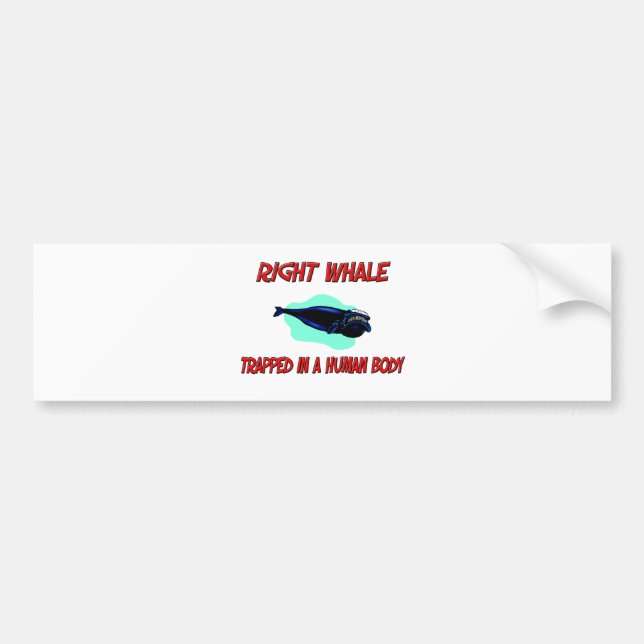 Right Whale trapped in a human body Bumper Sticker (Front)