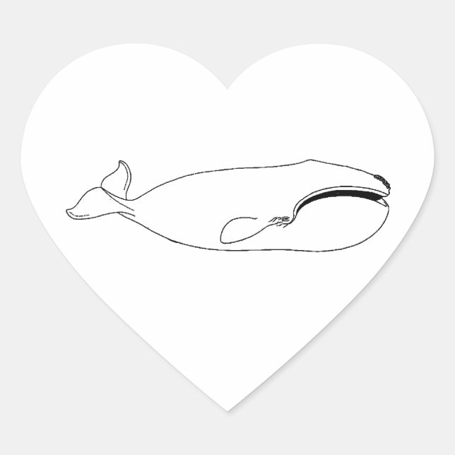 Right Whale (untitled) Heart Sticker (Front)