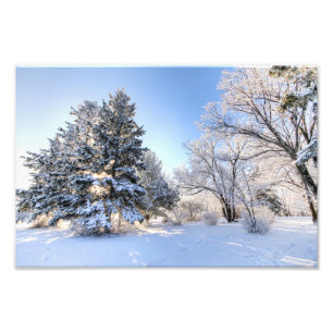 Rime Frost in Yorkton SK Photo Print