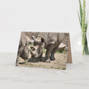 Rinamic Duo Card