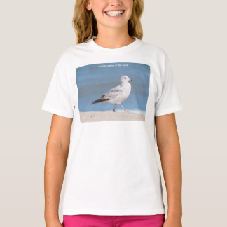 Ring-billed Gull T-Shirt