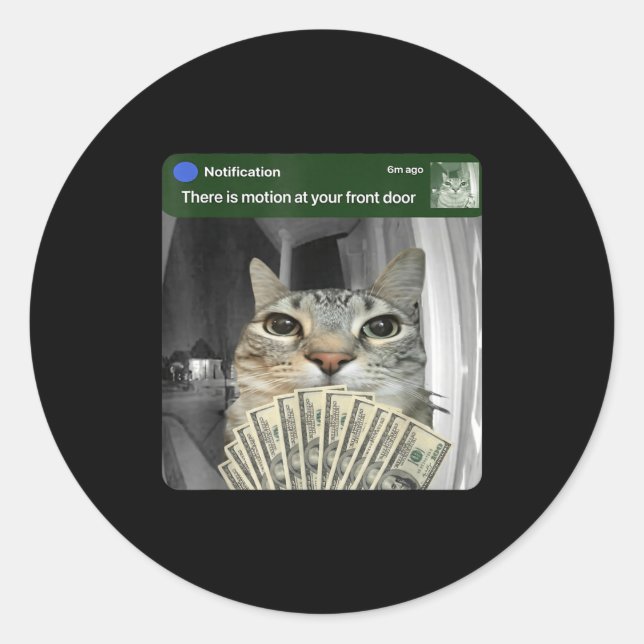Ring Cat With Motion Meme  Classic Round Sticker (Front)