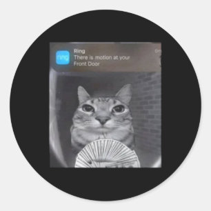 Ring Cat With Motion Meme  Classic Round Sticker