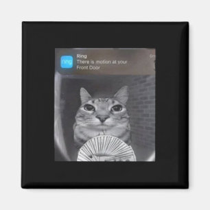 Ring Cat With Motion Meme  Magnet