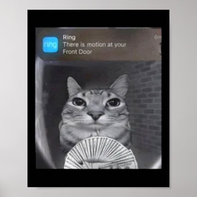 Ring Cat With Motion Meme  Poster (Front)