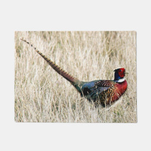 Ring Neck Pheasant in Meadow Doormat