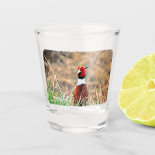 Ring-neck Pheasant Shot Glass