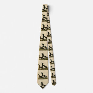 Ring-necked Duck from Audubon's Birds of America Tie