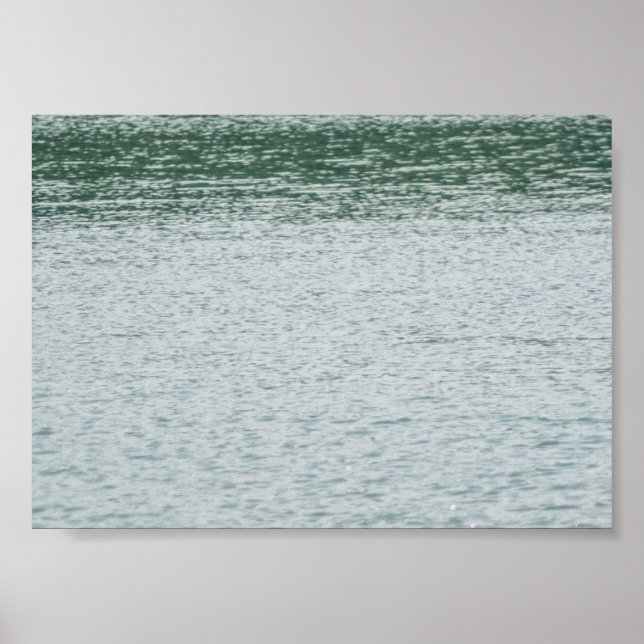 Ring-necked Duck Poster (Front)