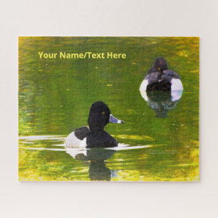 Ring-Necked Ducks Black & White Birds Green Water Jigsaw Puzzle