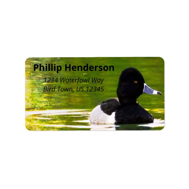 Ring-Necked Ducks Black & White Birds Green Water Label (Front)