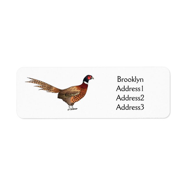 Ring-necked pheasant bird cartoon illustration  (Front)