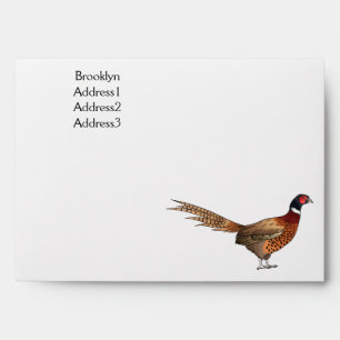 Ring-necked pheasant bird cartoon illustration envelope