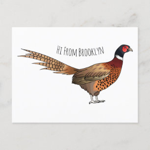 Ring-necked pheasant bird cartoon illustration postcard