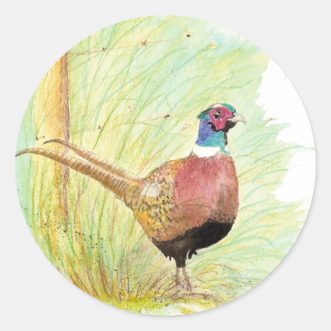 Ring Necked Pheasant Bird, Wildlife, Nature Classic Round Sticker (Front)