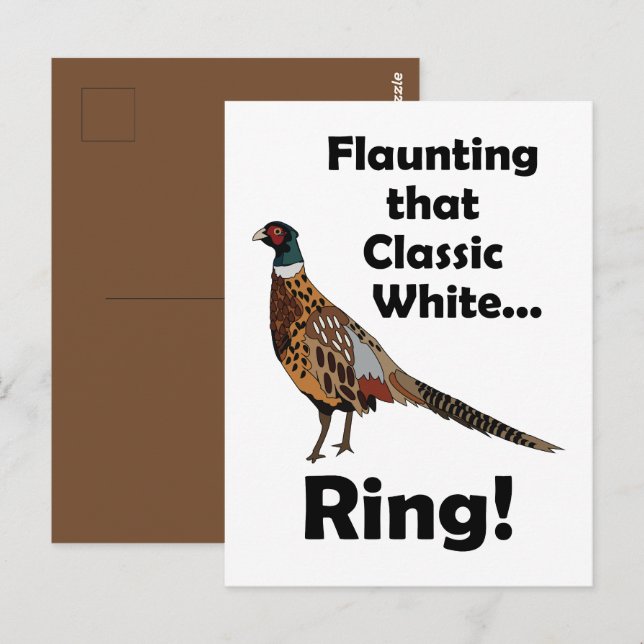 Ring-necked Pheasant Flaunting White Ring Birthday Postcard (Front/Back)