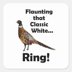 Ring-necked Pheasant Flaunting White Ring Birthday Square Sticker