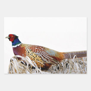 Ring-necked Pheasant Photo Gift Wrap Paper