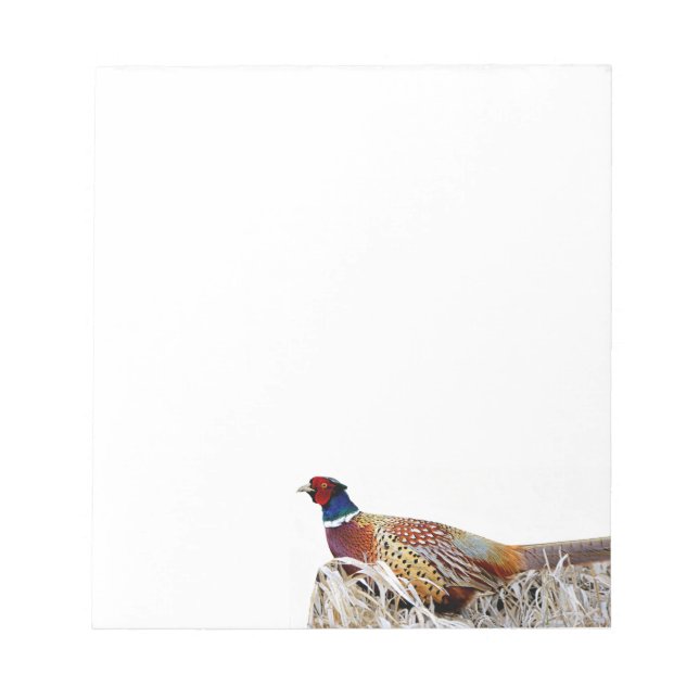 Ring-necked Pheasant Photo Stationery Note Pad (Front)