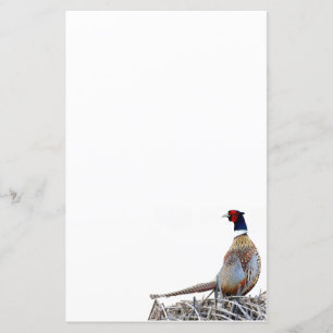 Ring-necked Pheasant Photo Stationery Paper