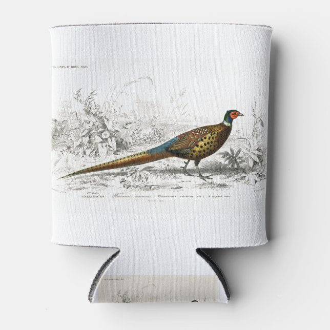 Ring-neckrd pheasant illustration can cooler (Front)