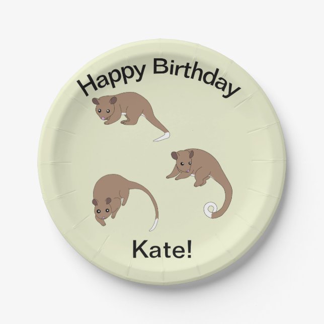 Ring Tail Possums   Paper Plate (Front)
