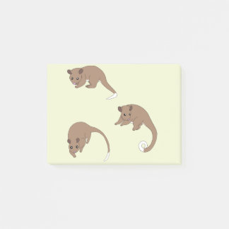 Ring Tail Possums Post-it Notes