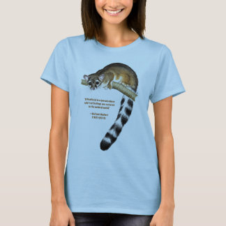 Ring Tailed Cat Womens Shirt