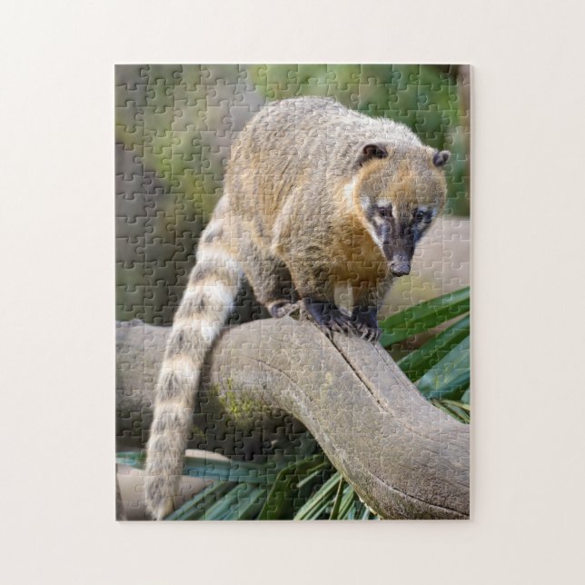 Ring-tailed Coati on branch Jigsaw Puzzle (Vertical)