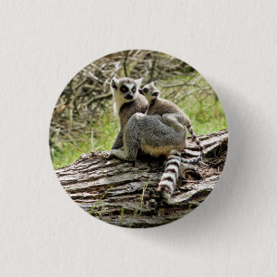 RING-TAILED LEMUR    3 CM ROUND BADGE