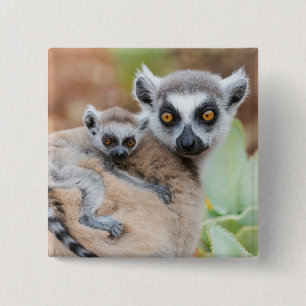Ring-Tailed Lemur Baby on its Mother's Back 15 Cm Square Badge