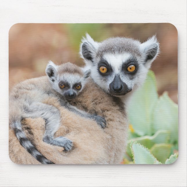 Ring-Tailed Lemur Baby on its Mother's Back Mouse Pad (Front)