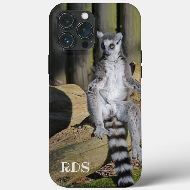 Ring Tailed Lemur Drusillas Park Case-Mate iPhone Case (Back)