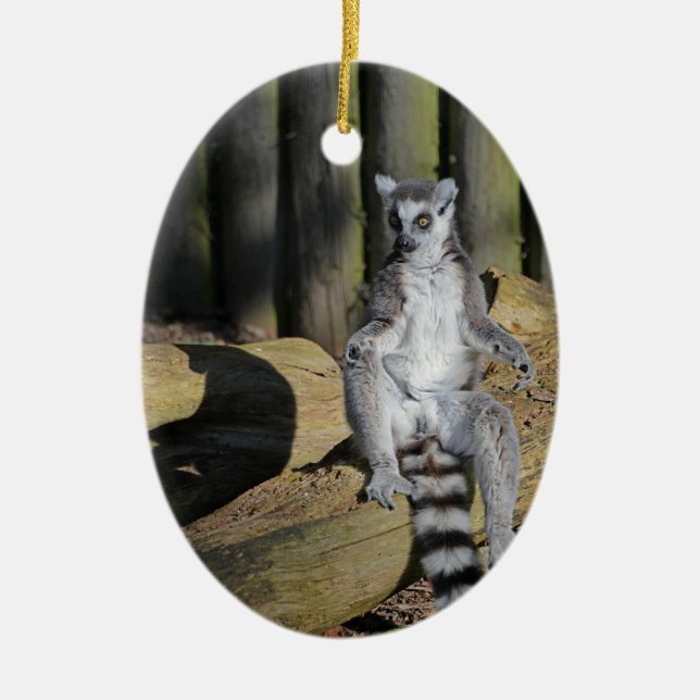 Ring Tailed Lemur Drusillas Park Ceramic Tree Decoration (Front)