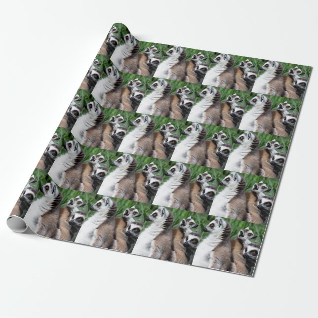 Ring-tailed Lemur Family Wrapping Paper (Unrolled)