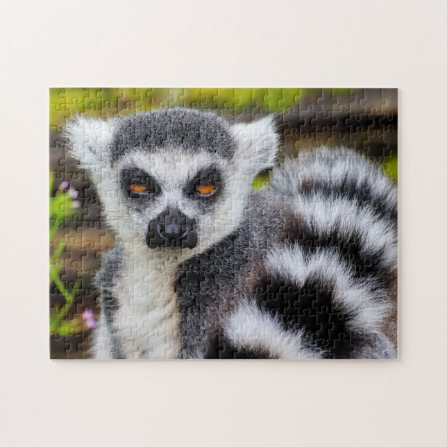 Ring Tailed Lemur, Jigsaw Puzzle (Horizontal)