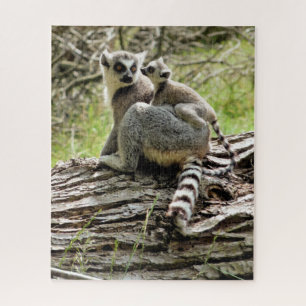 RING-TAILED LEMUR JIGSAW PUZZLE