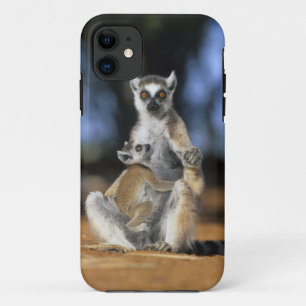 Ring-tailed Lemur, (Lemur catta), Mother and Case-Mate iPhone Case