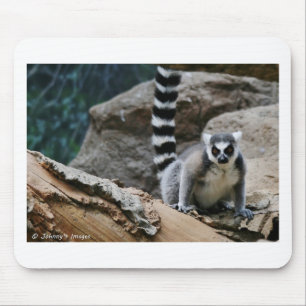 RIng Tailed Lemur Mouse Pad