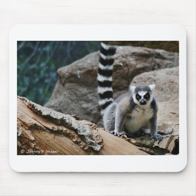 RIng Tailed Lemur Mouse Pad (Front)