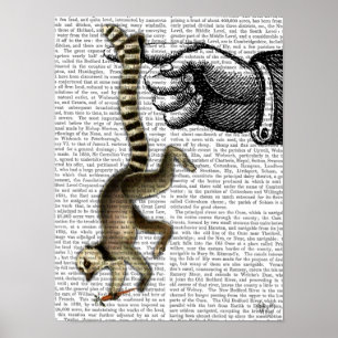 Ring Tailed Lemur on Finger Poster