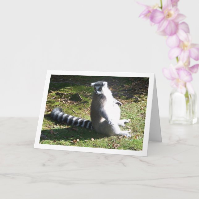 Ring-tailed lemur Portrait Card (Orchid)
