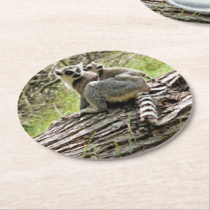 RING-TAILED LEMUR ROUND PAPER COASTER