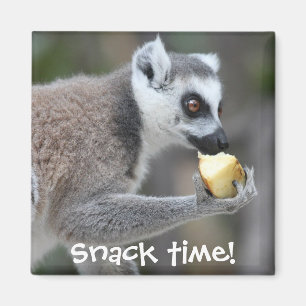 Ring-Tailed Lemur -- Snack Time! Magnet